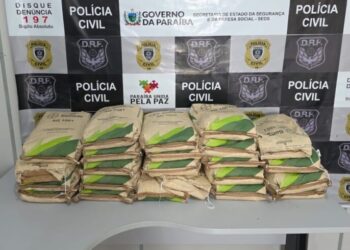 Operação Espiga: comerciante é preso com carga furtada de sementes avaliada em R$ 28 mil