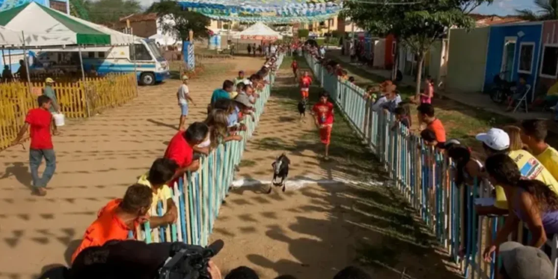 Festa do Bode Rei anuncia atrações de peso na Paraíba; confira os nomes