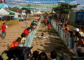 Festa do Bode Rei anuncia atrações de peso na Paraíba; confira os nomes