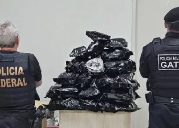 Operação contra tráfico cumpre 19 mandados de prisão em quatro estados do Nordeste