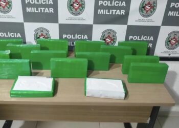 PM apreende cocaína avaliada em mais de R$ 500 mil em área de mata em João Pessoa