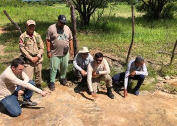 Expedição pode ter descoberto a maior pegada de dinossauro registrada no país
