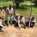 Expedição pode ter descoberto a maior pegada de dinossauro registrada no país