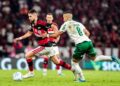 Flamengo perde para o Palmeiras no Maracanã e interrompe sequência positiva no Brasileirão