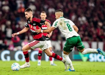 Flamengo perde para o Palmeiras no Maracanã e interrompe sequência positiva no Brasileirão