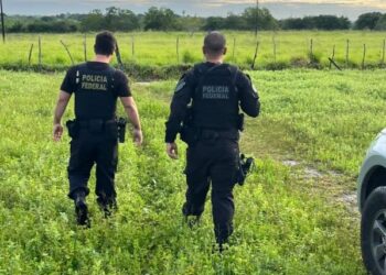 Polícia Federal faz prisão por crime de abuso sexual infantojuvenil em Jacaraú