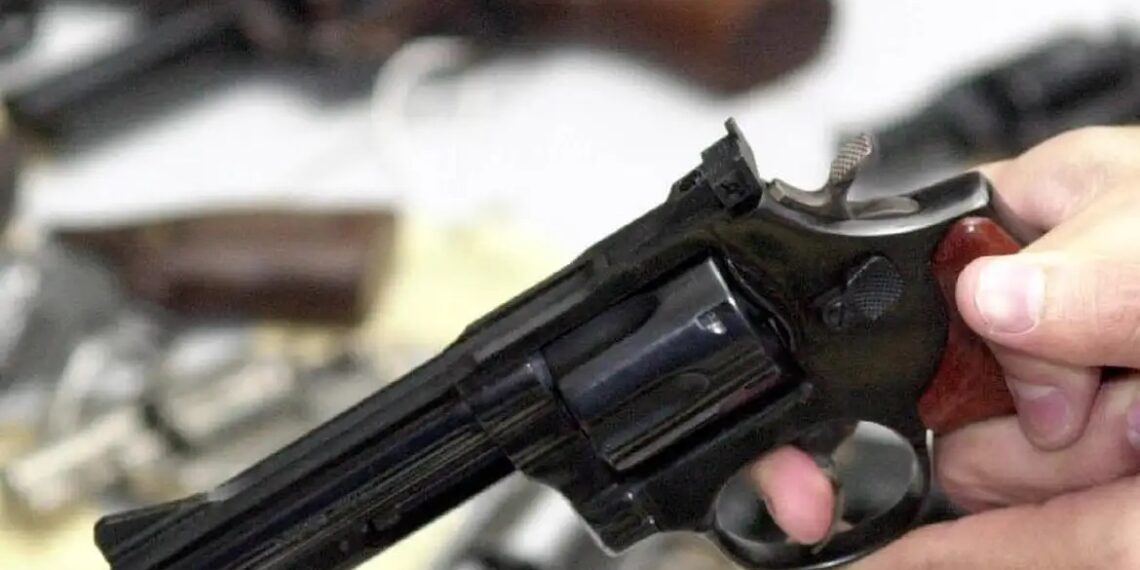 Comissão da Câmara aprova uso do FGTS para compra de armas de fogo