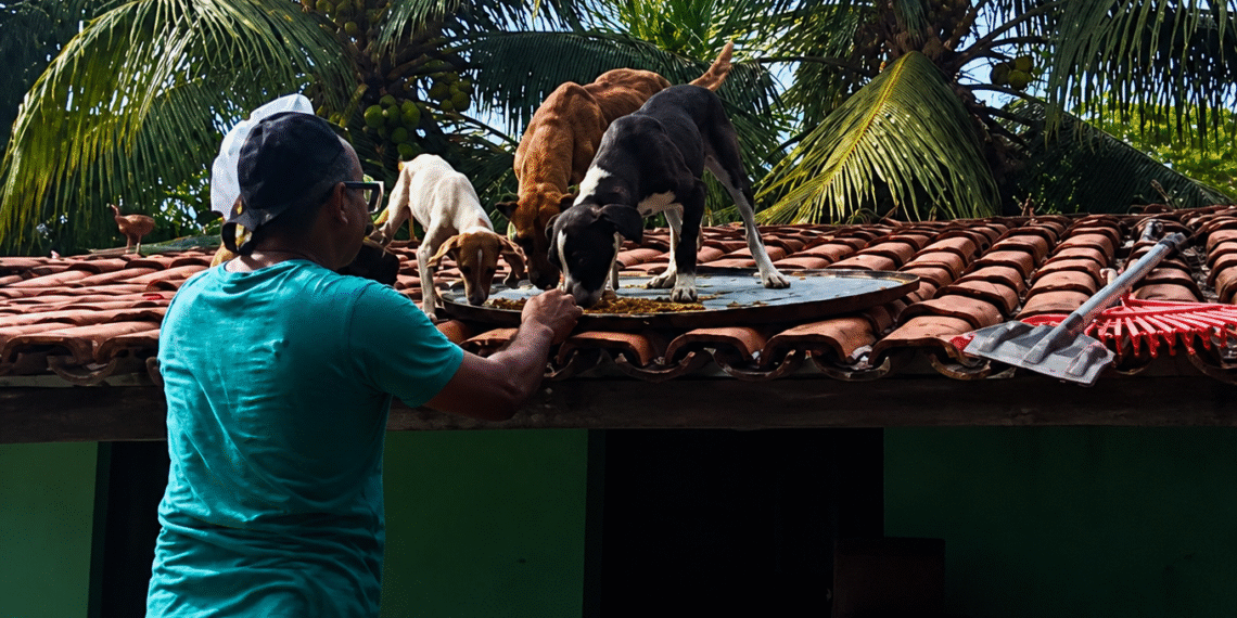 Rio Gramame invade casas e deixa moradores ilhados no litoral sul da Paraíba