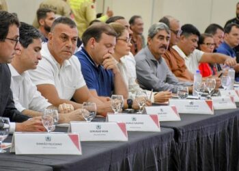 Chuvas: prefeitos terão que fazer plano de trabalho para acessar recursos federais