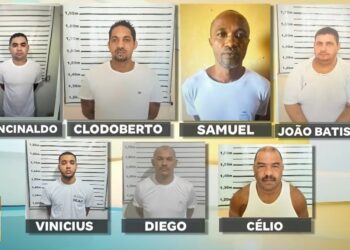 Polícia pede internação de adolescente após morte de recém-nascido encontrado entre muros em Alhandra