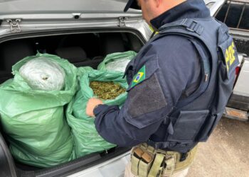 PRF apreende 25 kg de “supermaconha” após perseguição na BR-230, na Paraíba