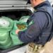 PRF apreende 25 kg de “supermaconha” após perseguição na BR-230, na Paraíba