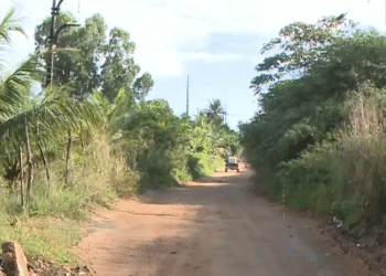 Mulher é encontrada morta a tiros em área de mata, em Santa Rita