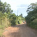 Mulher é encontrada morta a tiros em área de mata, em Santa Rita