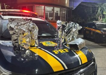 Casal é preso com mais de 10 kg de maconha na BR-230