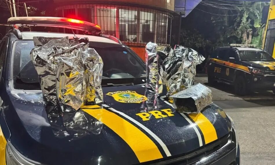 Casal é preso com mais de 10 kg de maconha na BR-230