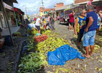 Milho verde movimenta vendas na tradicional Feira de Oitizeiro durante o período junino