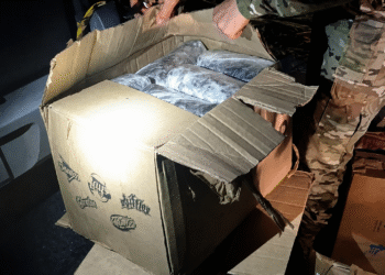 Carga com mais de 26 kg de maconha é apreendida durante fiscalização da PRF na BR-101