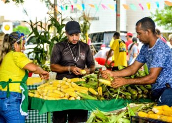 Festival do Milho da Cecaf será realizado entre 20 e 23 de junho em João Pessoa