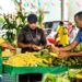 Festival do Milho da Cecaf será realizado entre 20 e 23 de junho em João Pessoa