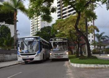 Passageiros podem recarregar cartão de ônibus sem sair de casa e tirar dúvidas pelo WhatsApp
