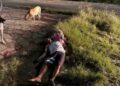Jovem é executado a tiros em plena via pública no Alto do Mateus, em João Pessoa