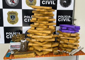 Polícia Civil apreende quase 100 kg de drogas que seriam distribuídas no São João de Campina Grande