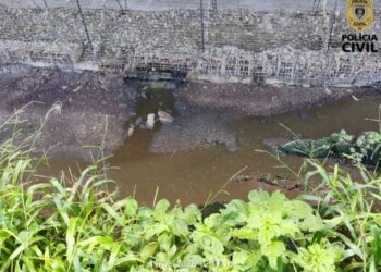 Responsável por empresa de ovos é presa por suspeita de poluição ambiental na Paraíba