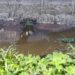 Responsável por empresa de ovos é presa por suspeita de poluição ambiental na Paraíba