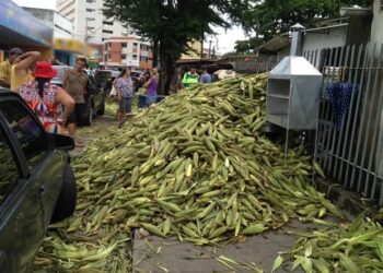 Pesquisa de preços do milho em João Pessoa registra variação de até R$ 25,00