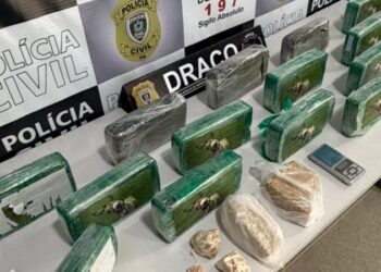 Drogas que seriam vendidas no São João de Campina Grande são apreendidas