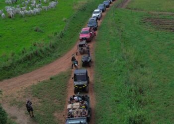 Sucesso Absoluto: Trilha do Mirante movimenta economia e turismo em Serra da Raiz