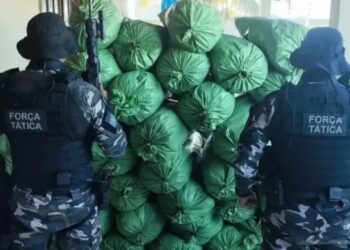 Denúncia leva polícia a depósito com mais de 400 kg de maconha no interior da Paraíba