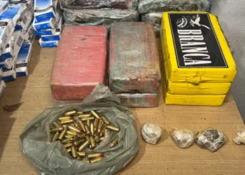 Polícia apreende quase 20 mil comprimidos de Artane, drogas e munições na Zona Sul de João Pessoa