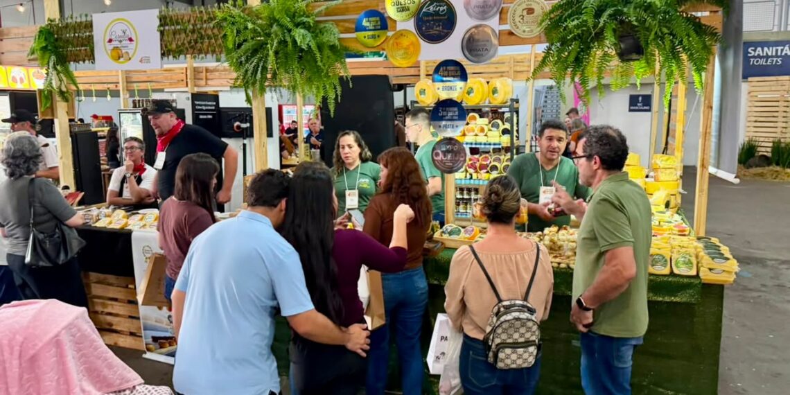 Produtores paraibanos conquistam 23 medalhas, cinco de ouro, no Prêmio Queijo Brasil 2026