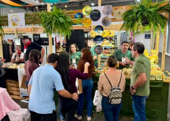Produtores paraibanos conquistam 23 medalhas, cinco de ouro, no Prêmio Queijo Brasil 2026