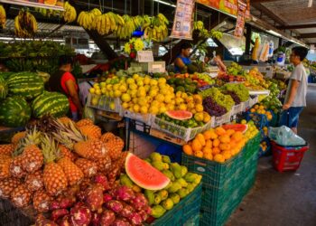 Regimento Interno dos Mercados Públicos de João Pessoa assegura organização, uso adequado e gestão eficiente