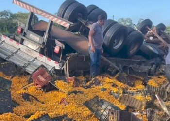 Motorista morre após caminhão carregado de cajá capotar na BR-101, na Paraíba