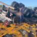 Motorista morre após caminhão carregado de cajá capotar na BR-101, na Paraíba