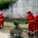 Emlur intensifica limpeza e conservação no bairro dos Novais e em outras áreas de João Pessoa
