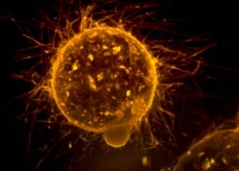 Cientistas descobrem possível forma de desativar mecanismo de progressão do câncer