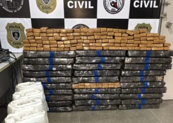 Polícia apreende 400 kg de maconha e prende motorista de caminhão em Campina Grande