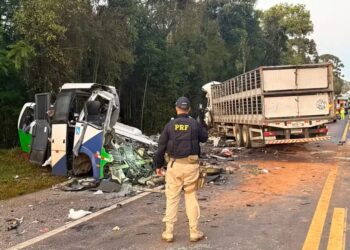 Acidente entre carreta e micro-ônibus deixa ao menos 23 mortos no Paraná