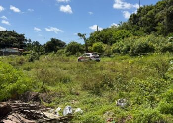 Cabeça é encontrada em área de mata em João Pessoa e polícia investiga se pertence a jovem morto no Taipa