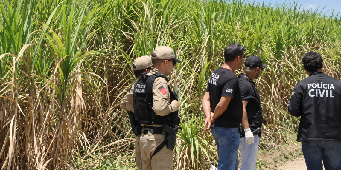 Corpo carbonizado e com corte no pescoço é encontrado perto de canavial, em Lucena
