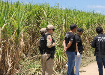 Corpo carbonizado e com corte no pescoço é encontrado perto de canavial, em Lucena