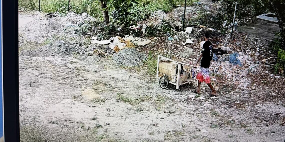 Câmeras do Smart City flagram descarte irregular de resíduos na área do Rio do Cabelo e Guarda identifica responsável