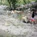 Câmeras do Smart City flagram descarte irregular de resíduos na área do Rio do Cabelo e Guarda identifica responsável