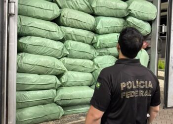 PF e PM prendem homem e apreendem meia tonelada de maconha no Sertão da Paraíba