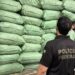 PF e PM prendem homem e apreendem meia tonelada de maconha no Sertão da Paraíba